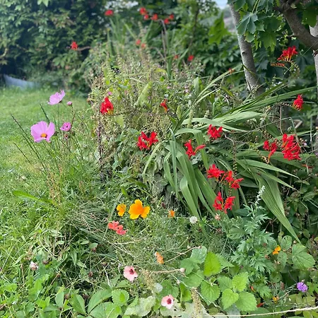 Nydelig Fritidsbolig Med Sjoutsikt Ferienhaus