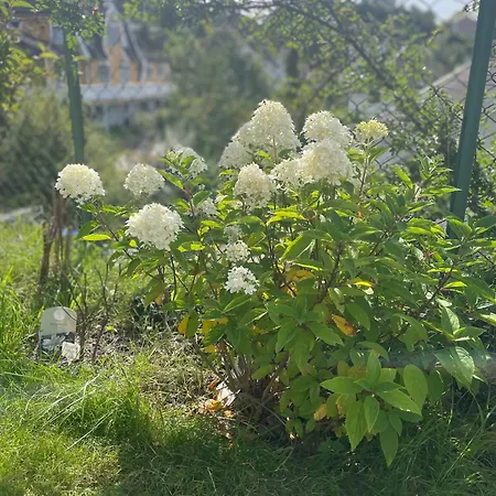 Nydelig Fritidsbolig Med Sjoutsikt Arendal