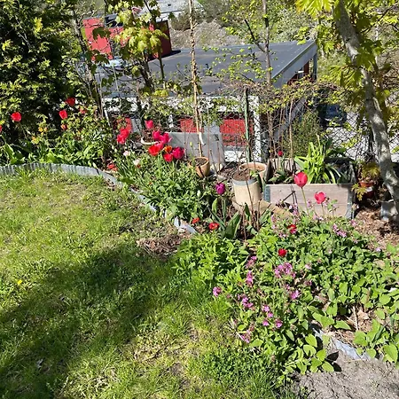 Nydelig Fritidsbolig Med Sjoutsikt Holiday home